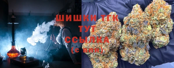 эйфоретик Гусиноозёрск