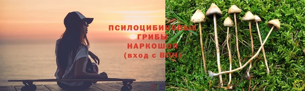 бошки Арсеньев
