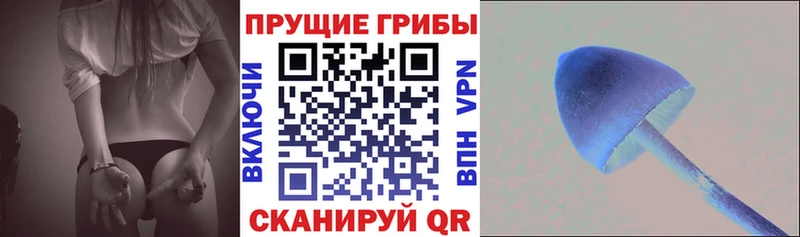 Псилоцибиновые грибы MAGIC MUSHROOMS дарнет шоп Северская